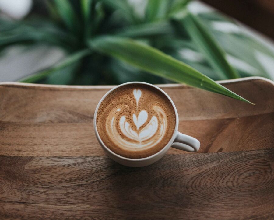 Heimbarista werden