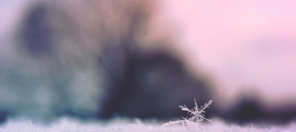 Heißen Kaffee in die Luft werfen... bei -32 Grad