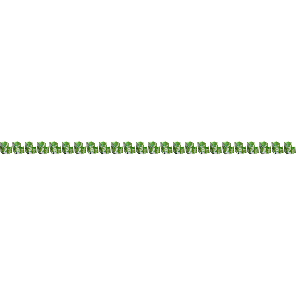 Grüner Tee - Bio & Fairtrade - 24 x Tea of Life - 25 Teebeutel