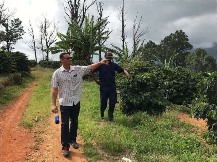 Jamaican Blue Mountain №1 - Frisch geröstete Kaffeebohnen - 100 gr