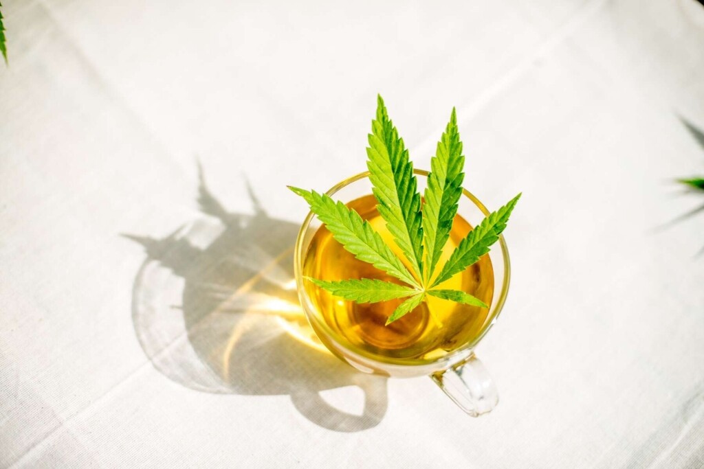 Simply Hemp - Reines Hanftee 40 Gramm - Dutch Harvest loser Tee