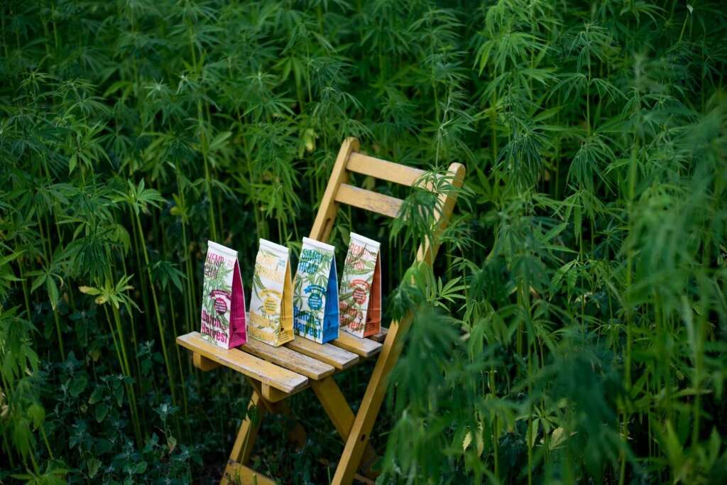 Hanf Chai - Hanf Chai-Tee 50 Gramm - Dutch Harvest loser Tee