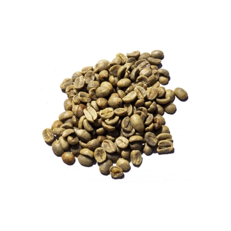 Tansania Arabica AA Kilimanjaro - ungeröstete Kaffeebohnen - 1 Kilo
