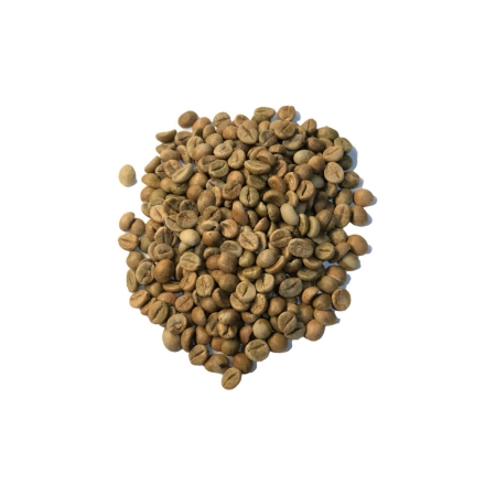 Indien Robusta Cherry AA Screen 18 - ungeröstete Kaffeebohnen - 1 Kilo
