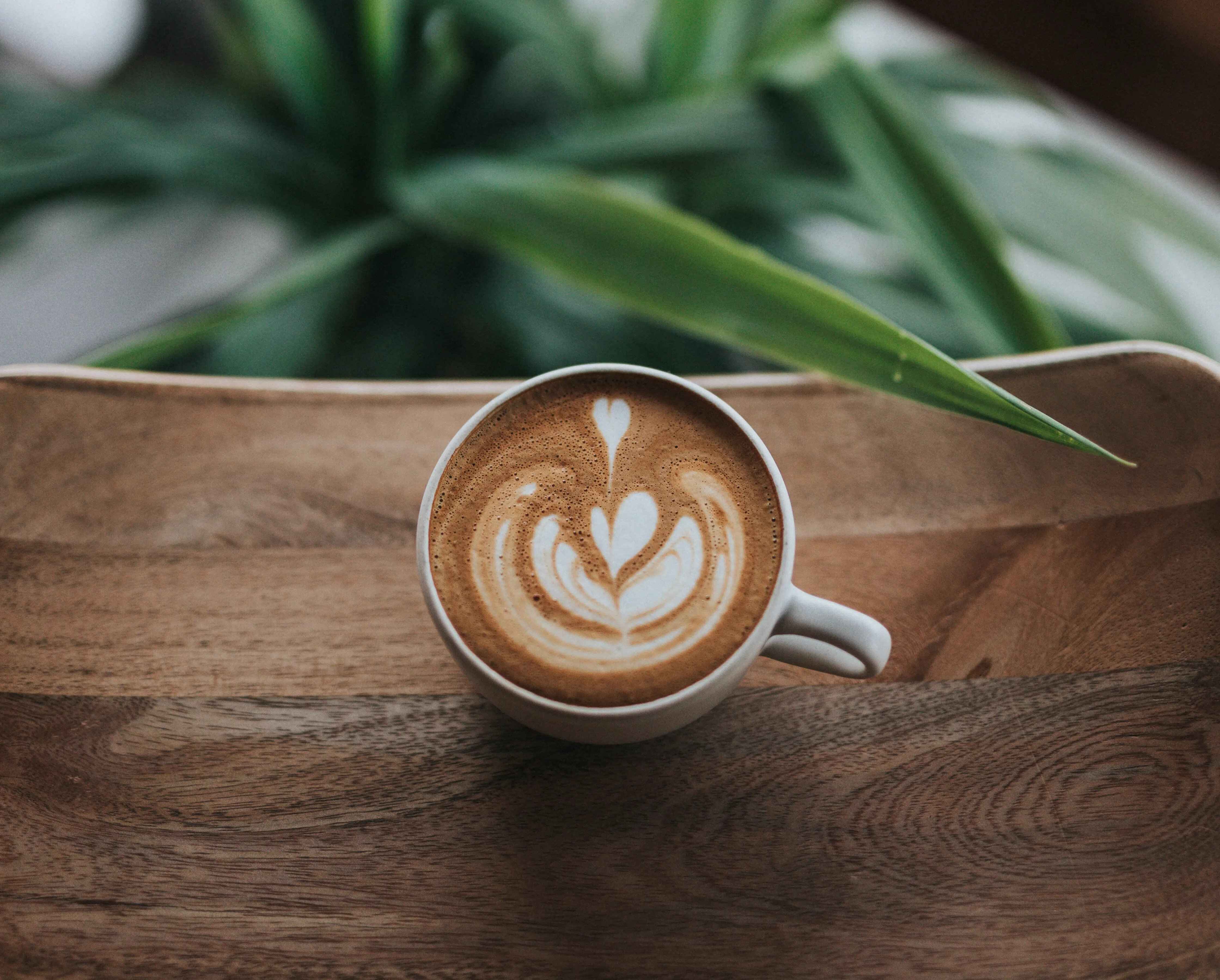 Heimbarista werden