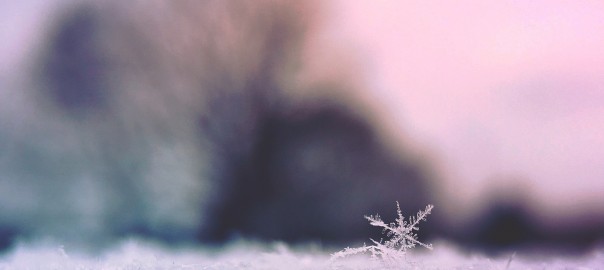Heißen Kaffee in die Luft werfen... bei -32 Grad